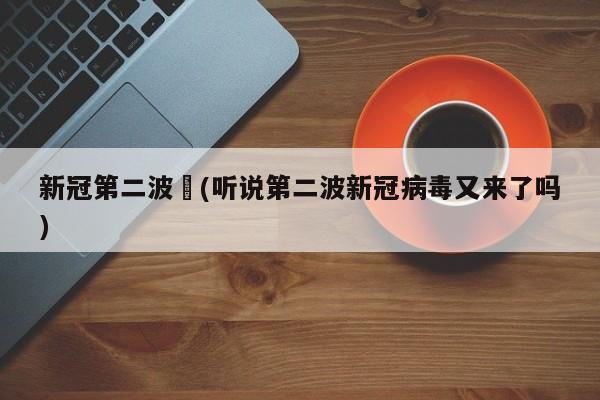 新冠第二波︰(听说第二波新冠病毒又来了吗)